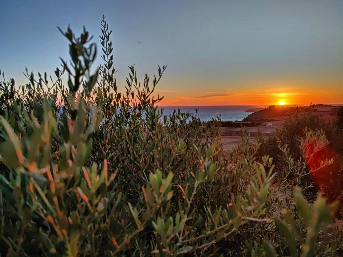 Il Casale Di Bovo Marina Villa Montallegro Exteriör bild